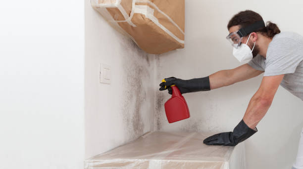 Professional Crawl Space Mold Remediation technician working in Tenafly, NJ